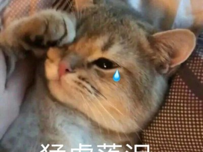 短视频运营直播运营简历模板，你也可以成为李佳琦的左膀右臂