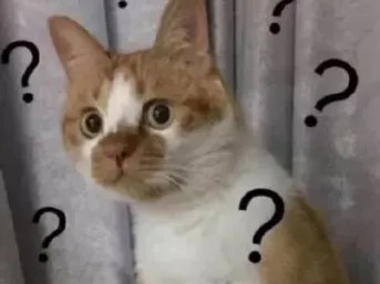 直播运营每天的工作内容是什么？直播运营有前途吗？