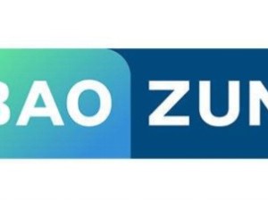 2020国内最新十大电商代运营公司