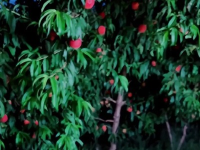 干抖音无人直播月入几十w，无人直播训练营（含源码+全套教程）