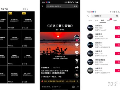 抖音上24小时音乐直播怎么弄，音乐直播项目-睡后收入月收10000+！