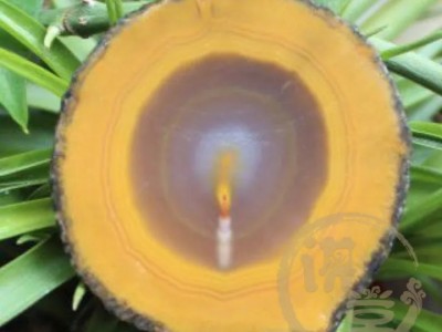 怎么鉴别玛瑙的真假？