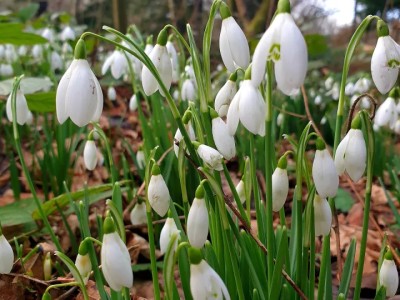 抖音推广投放广告效果怎样抖音祛斑祛痘怎么加粉推广