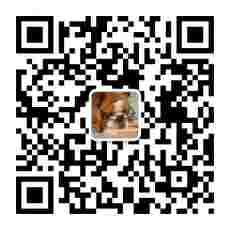 扫描二维码，关注公众号